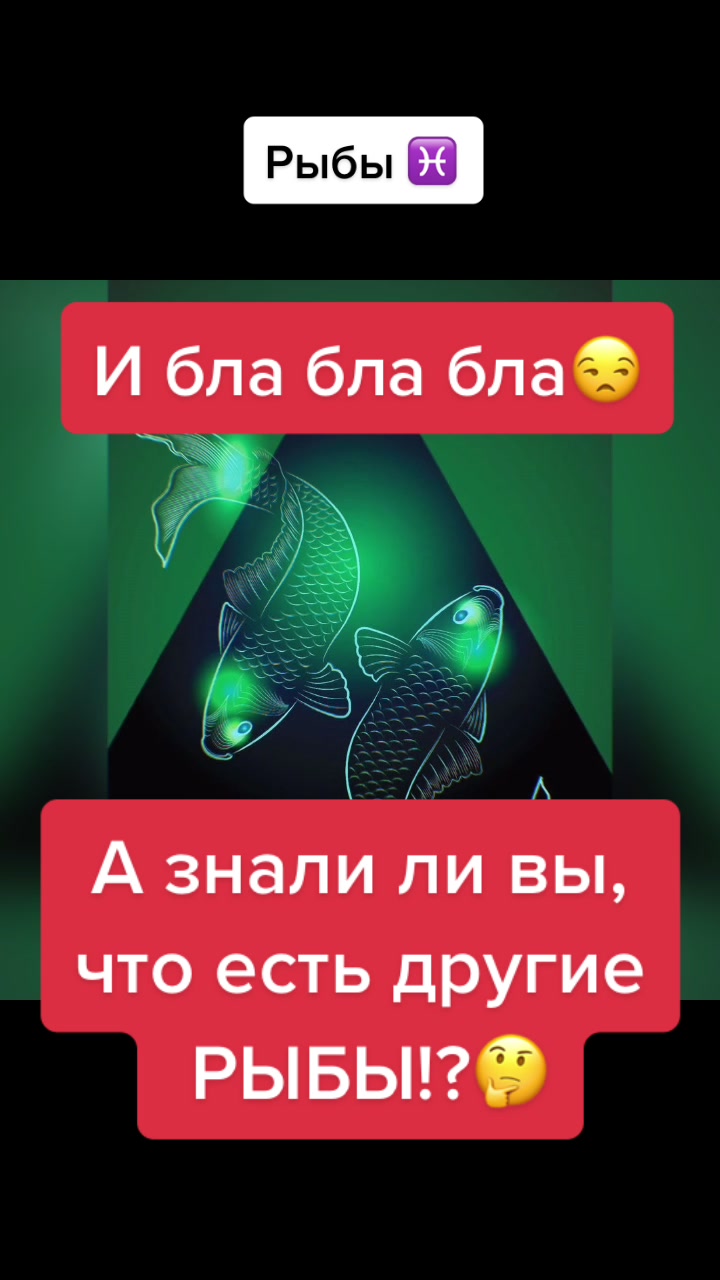 @Звёзды говорят