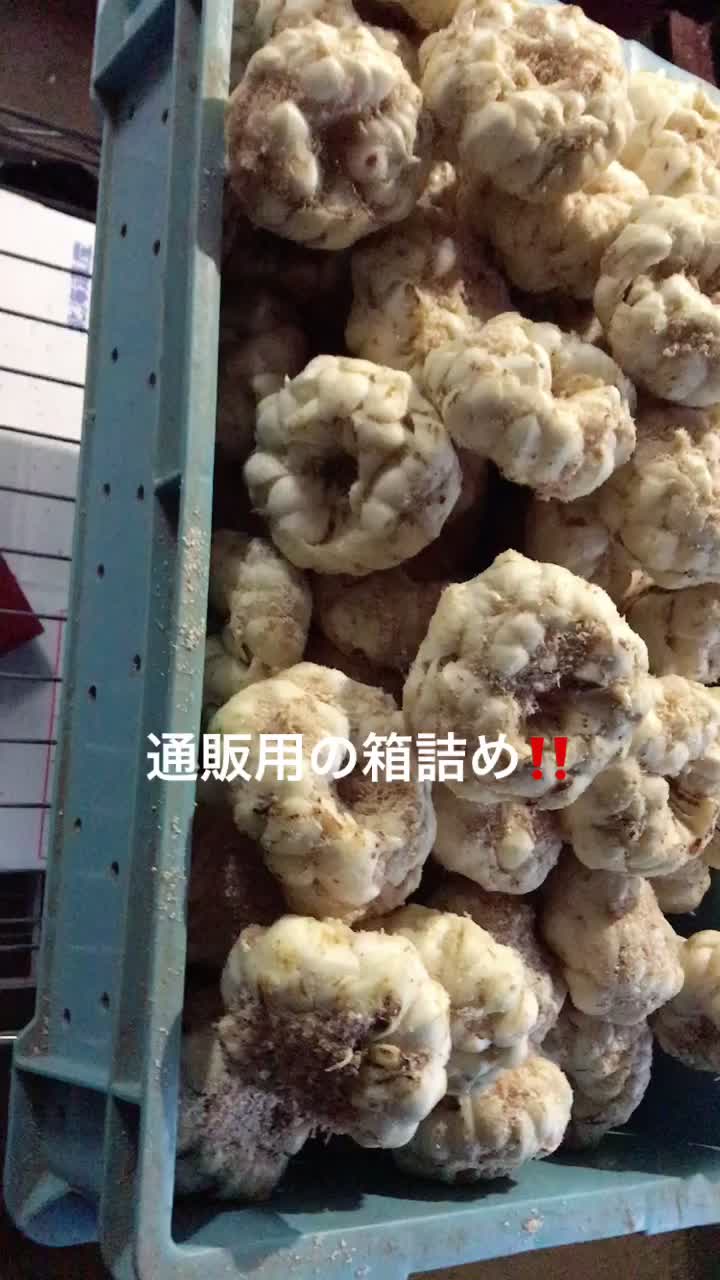 @アグリノムラ