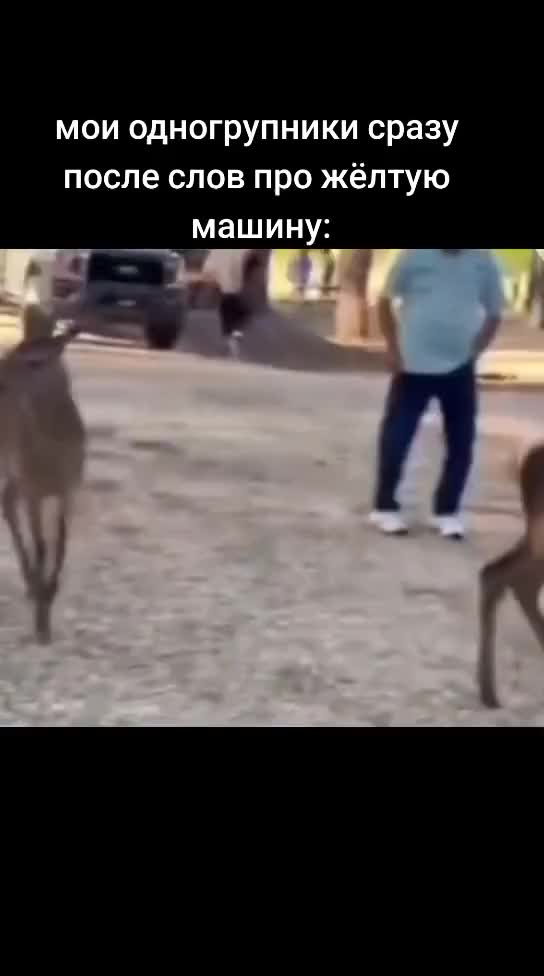 @pisyapopa1337