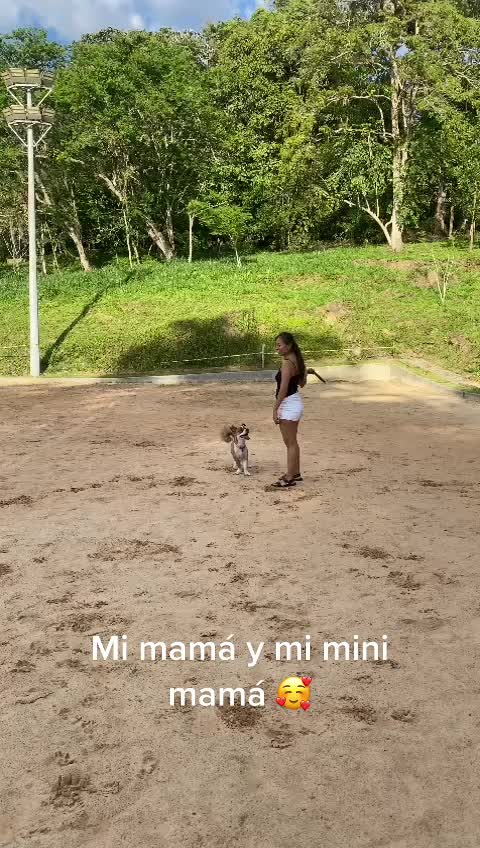 @SAM 🐾🦴
