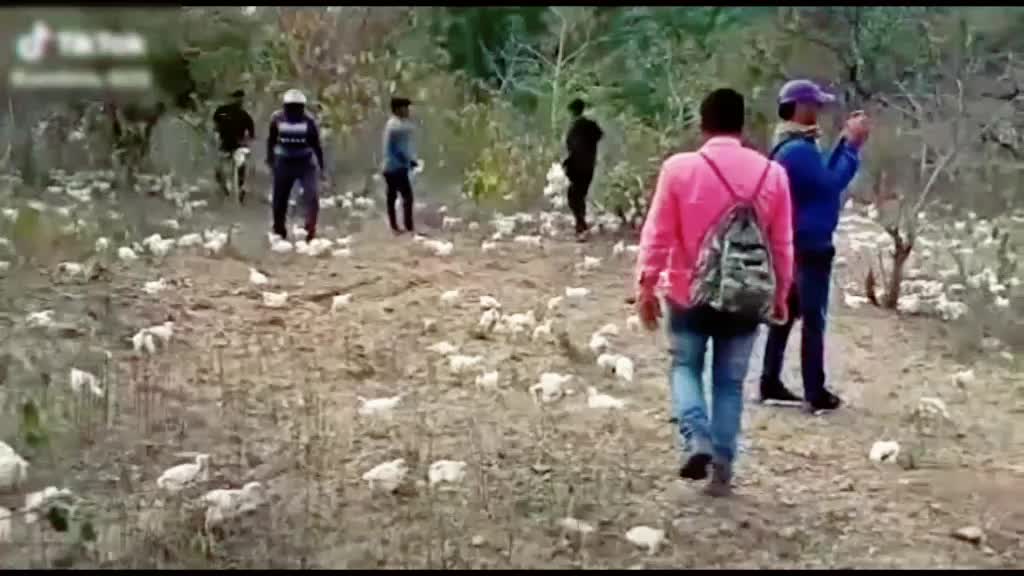 @Rajpal_Kushwaha