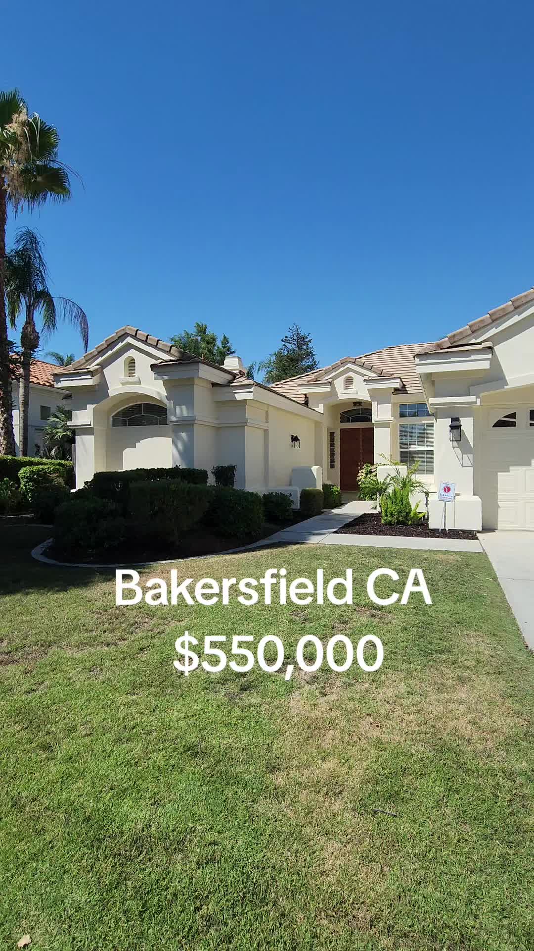 @Mr Real Estate