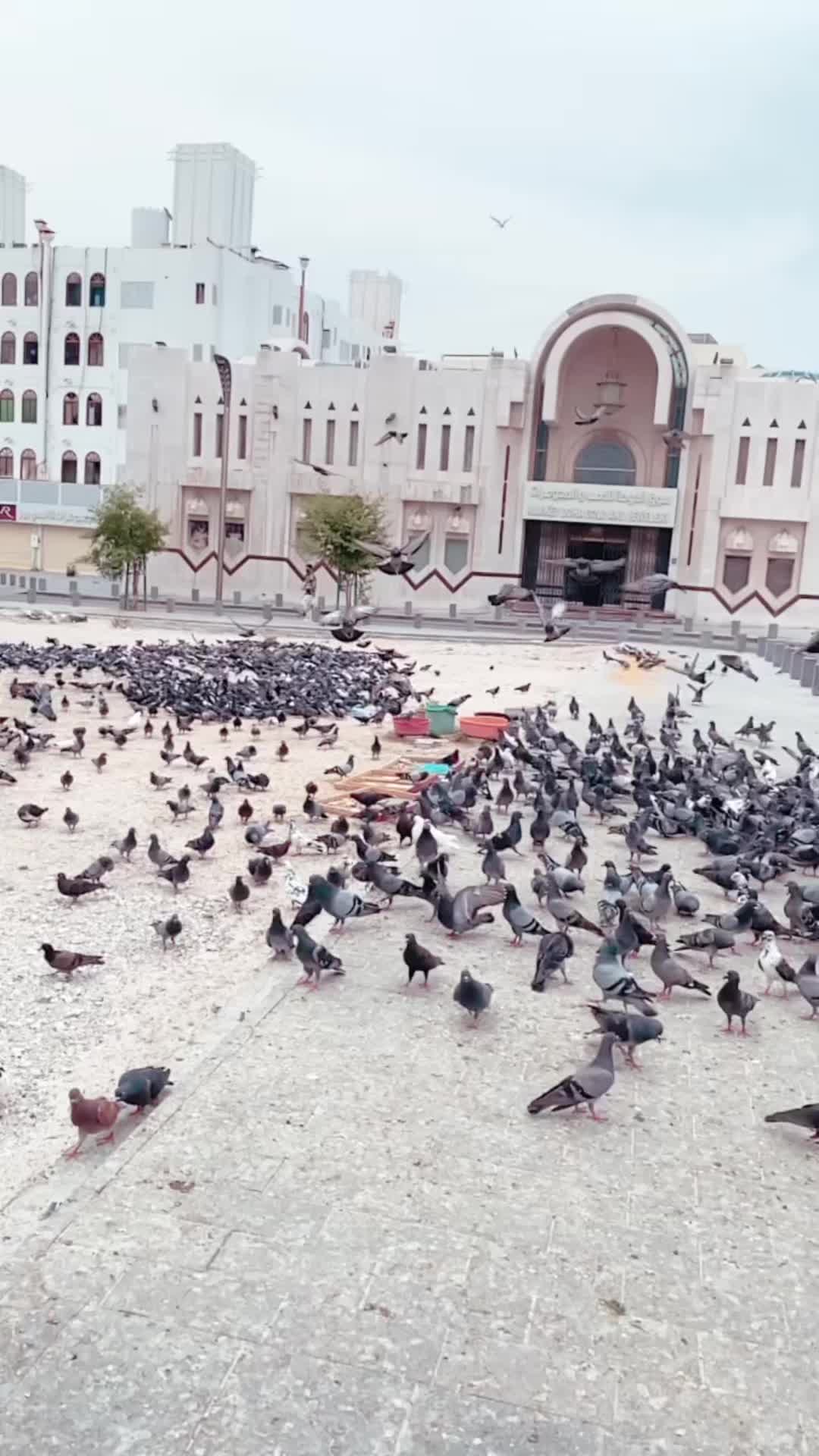 @Nizarmaravattam