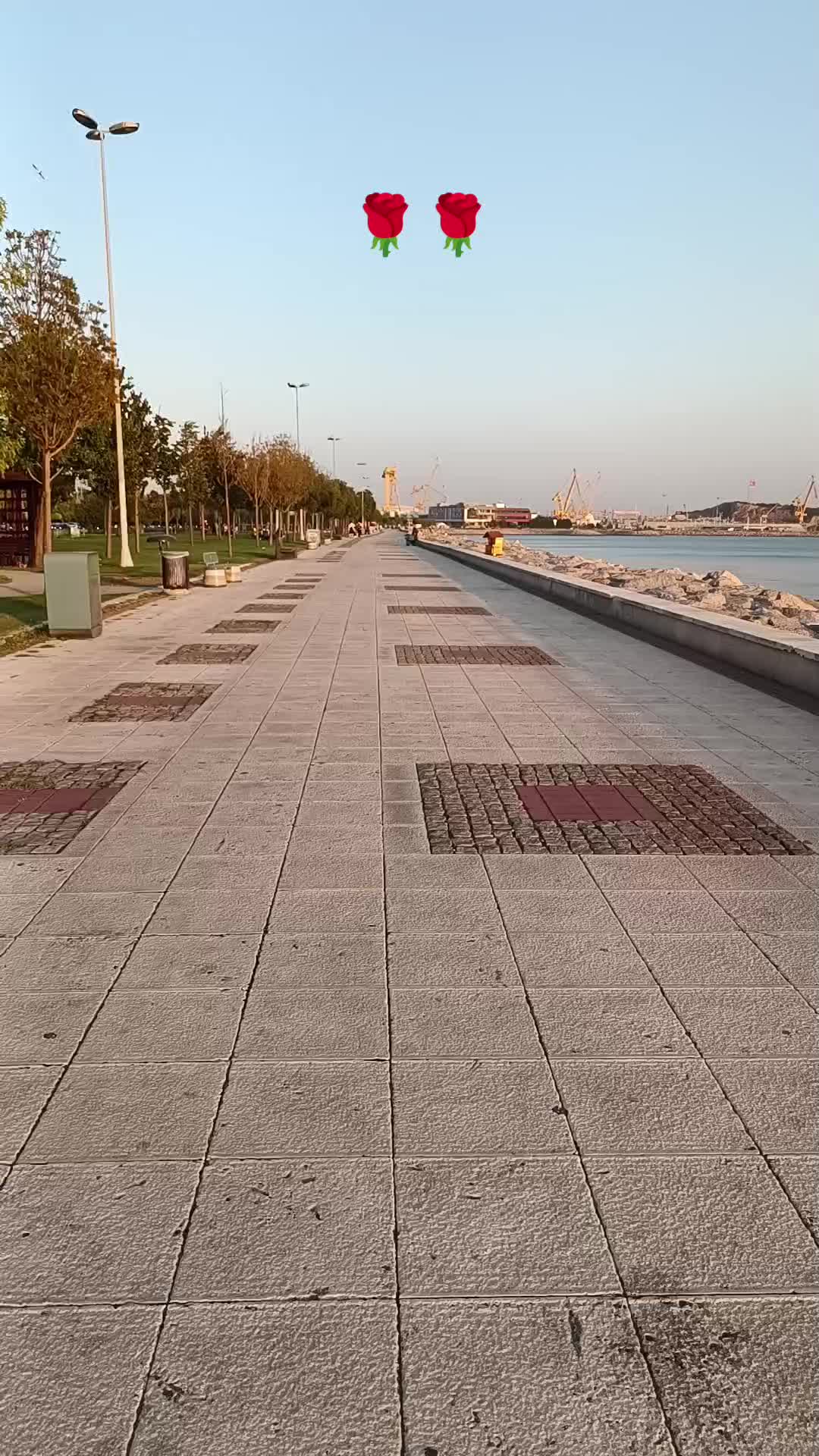@Hamza Akboğa