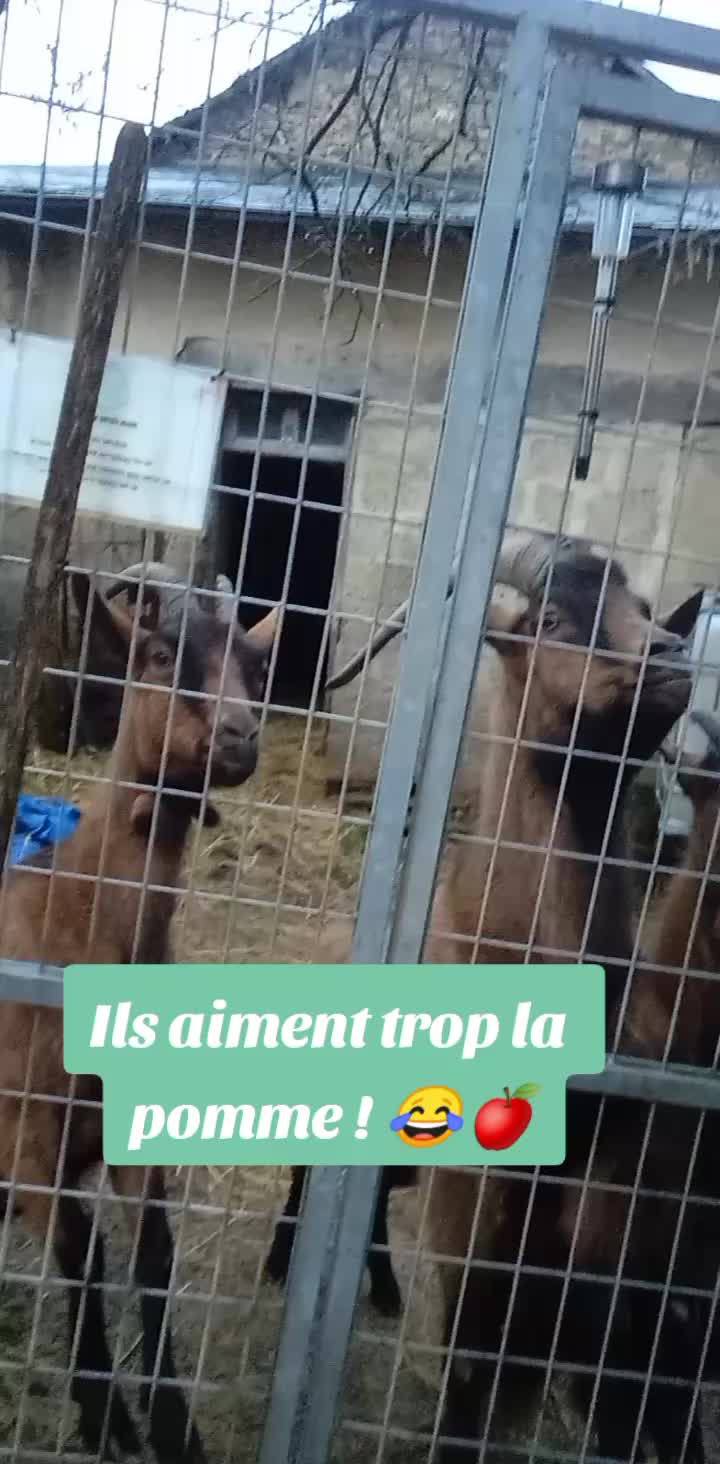 @association_apaa03