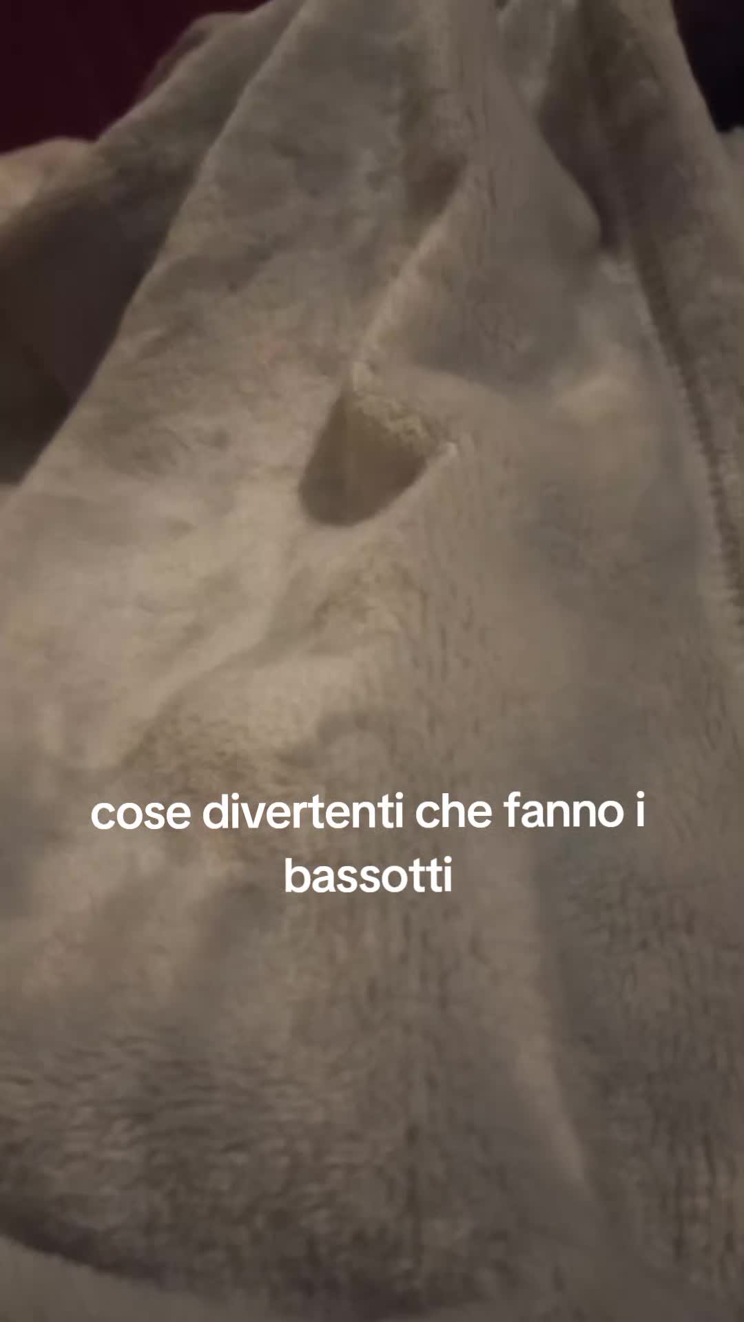 @lady_jorega