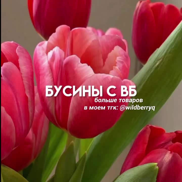 @biserinkss • Подписки