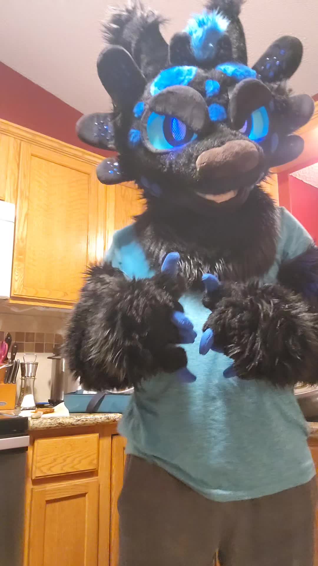 @DashTheNightFuryTaidum