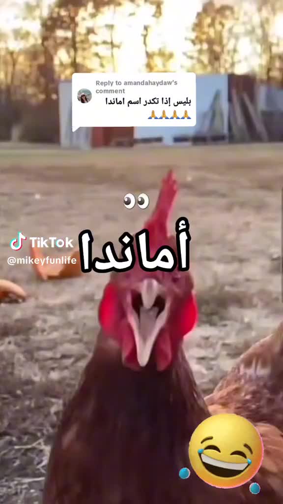 @Amanda💓🧿