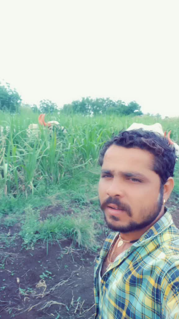 @user580256238
