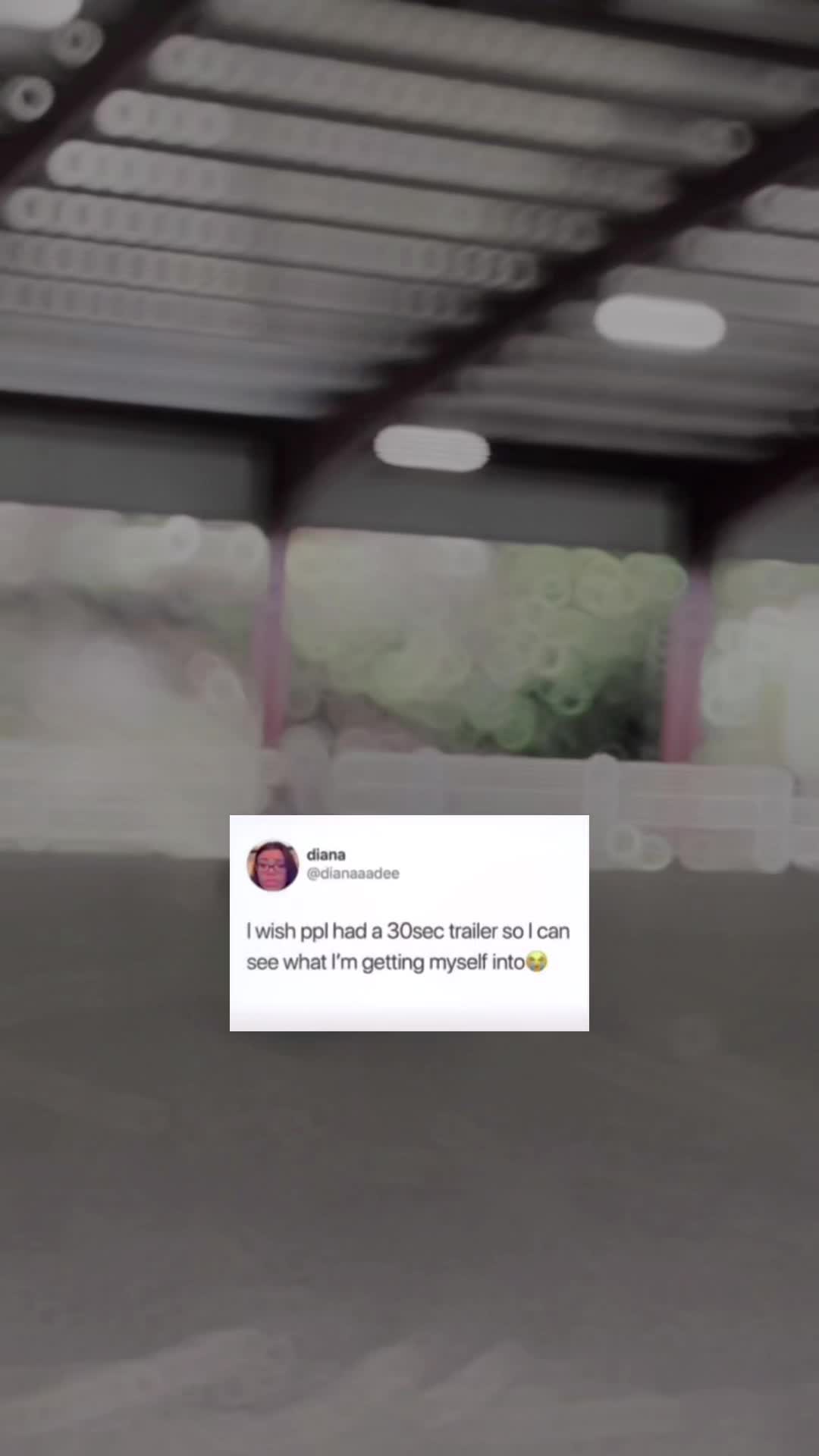 @Lynsie