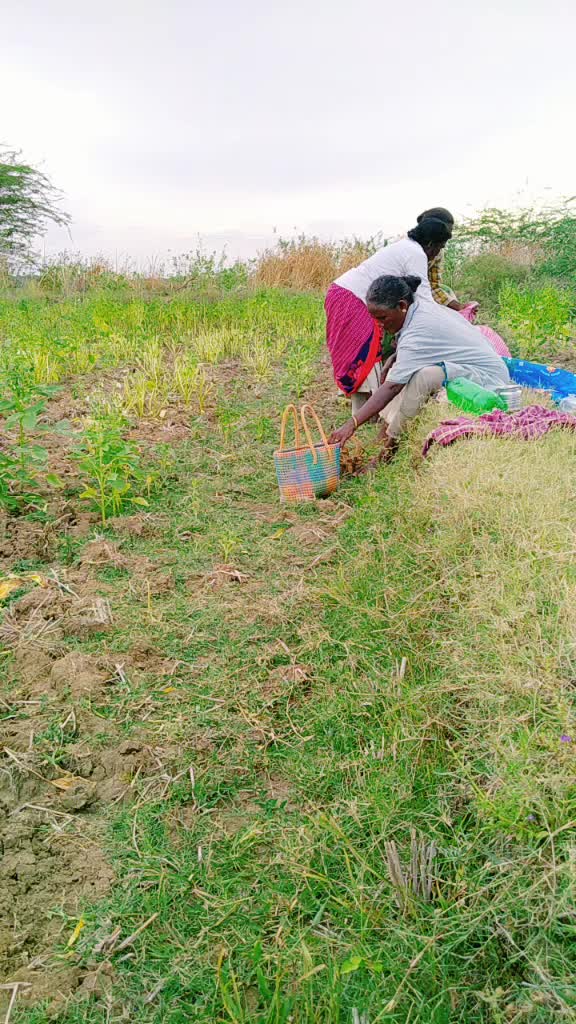 @விவசாயி மகன்