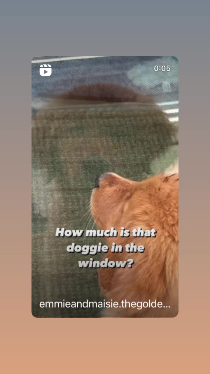 @Emmie & Maisie