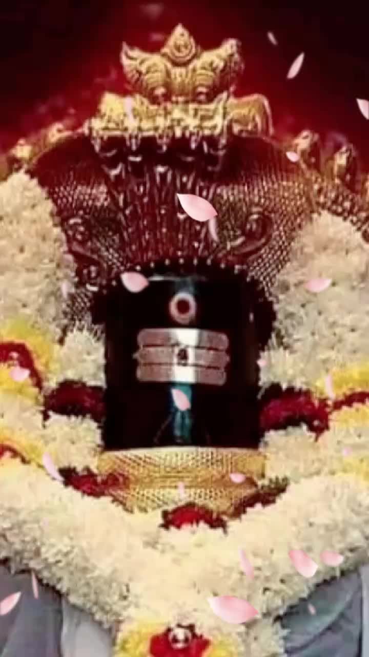@shobhamunna143@gmail