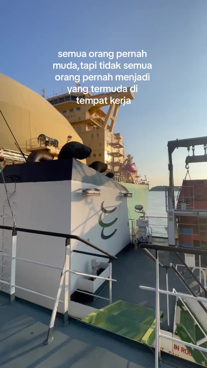 @🐬