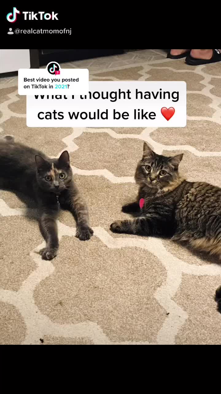 @annieandgina