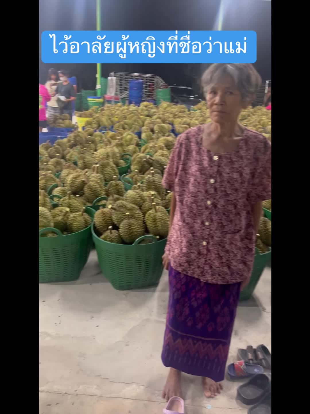 @แผงทุเรียนมินิโฟร์