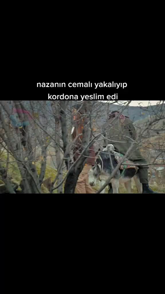@user97455774664