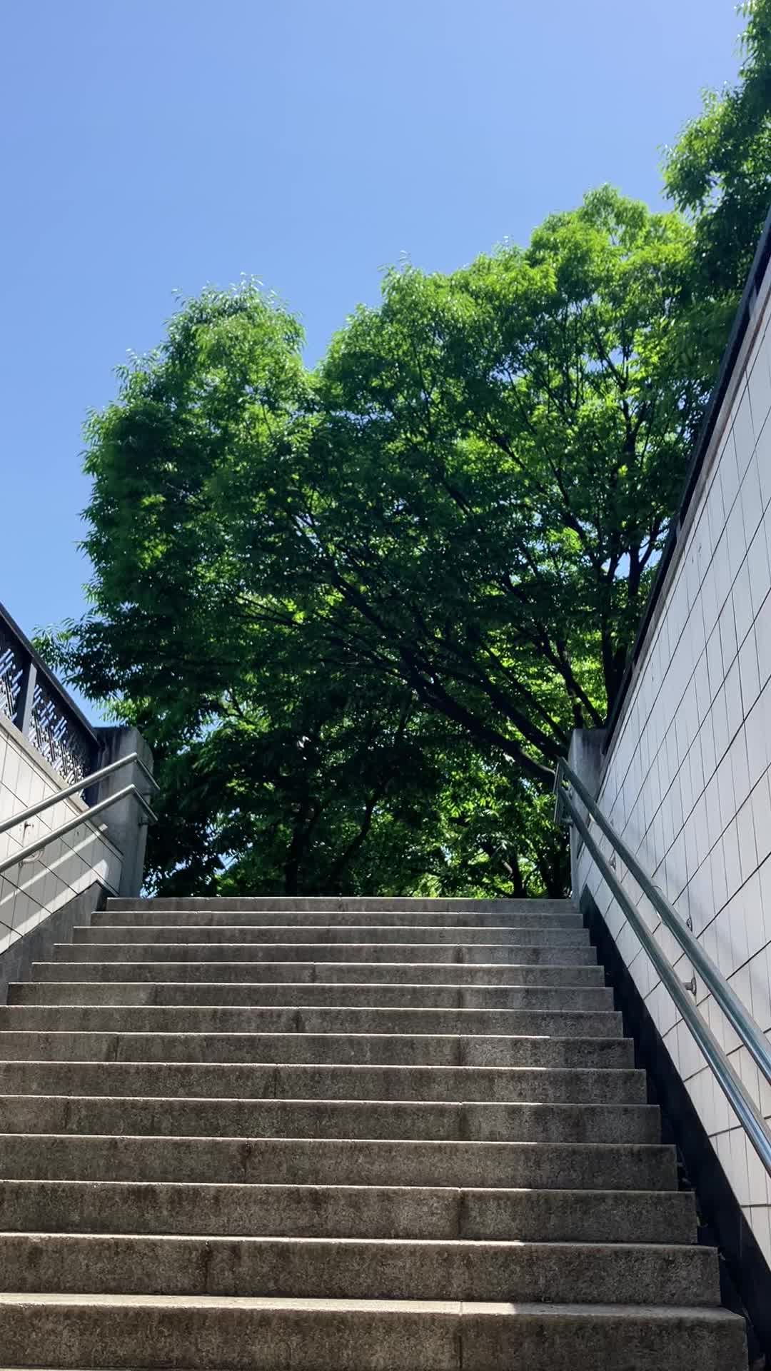 @Green._.tree01
