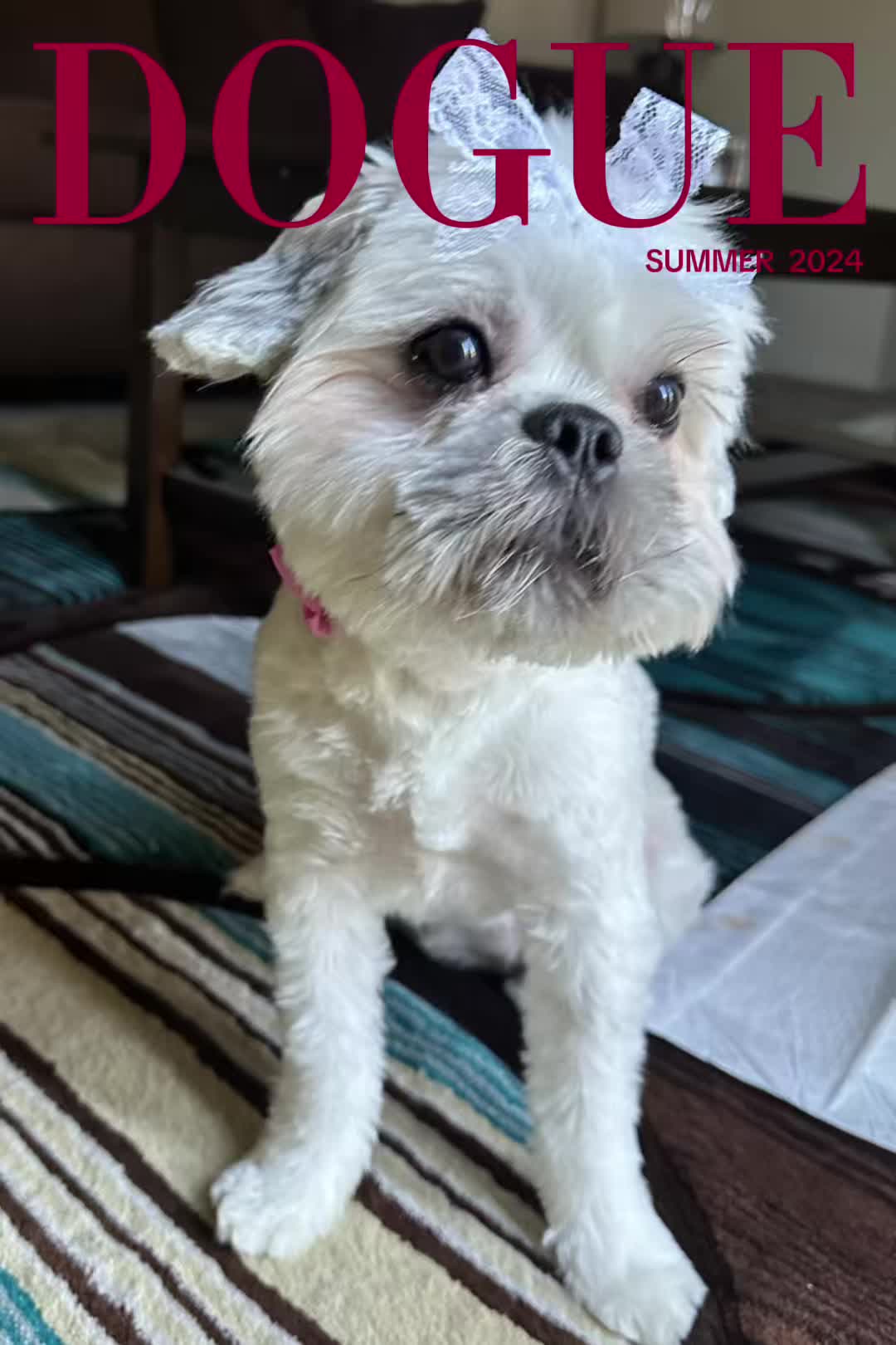 @sweetsuggatee