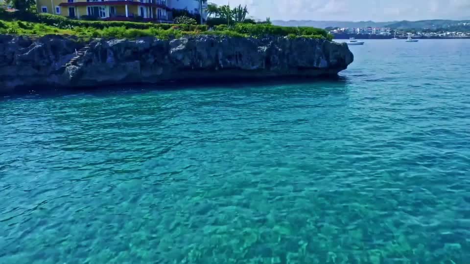 @Флоксы