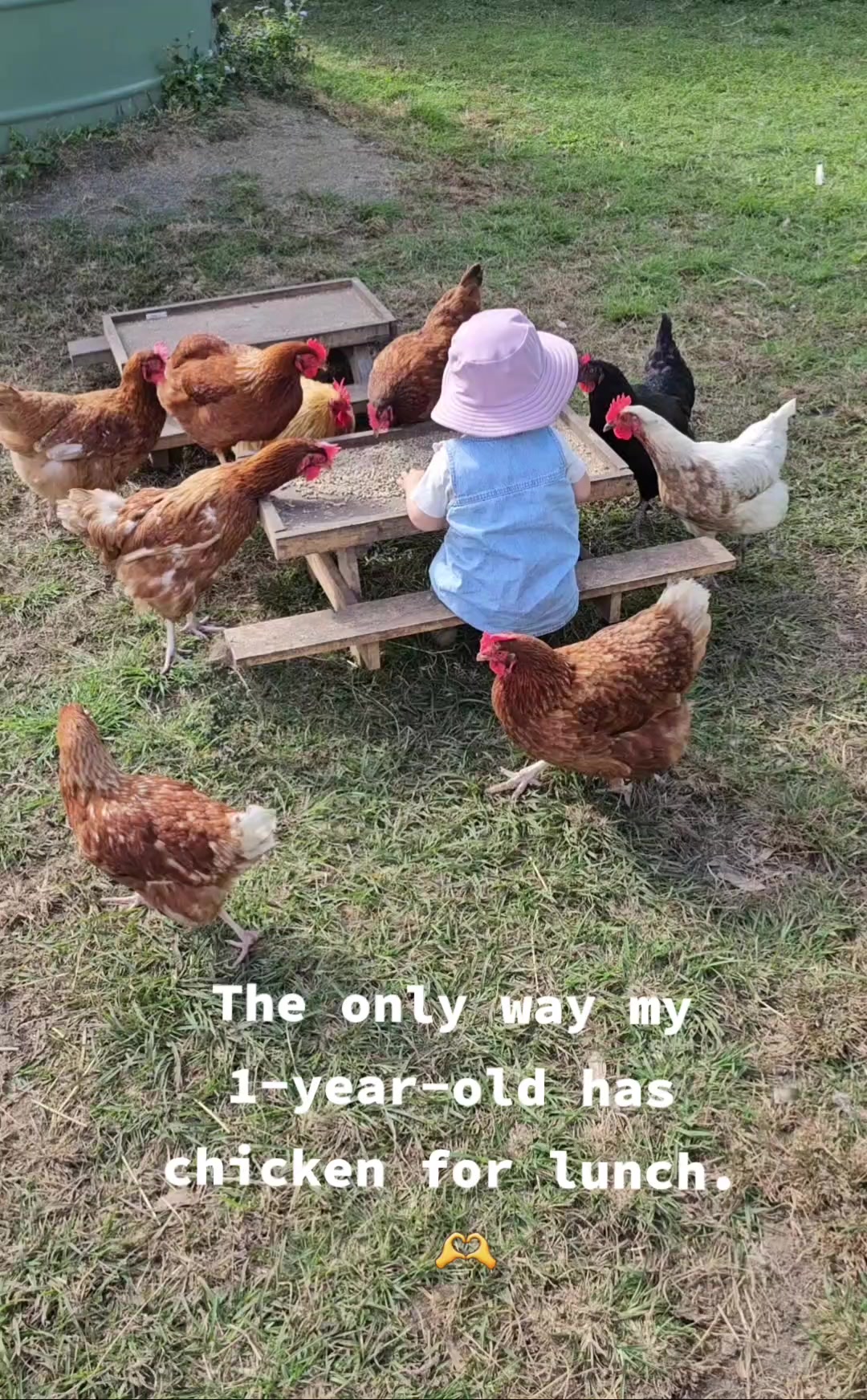 @CowLoverShop