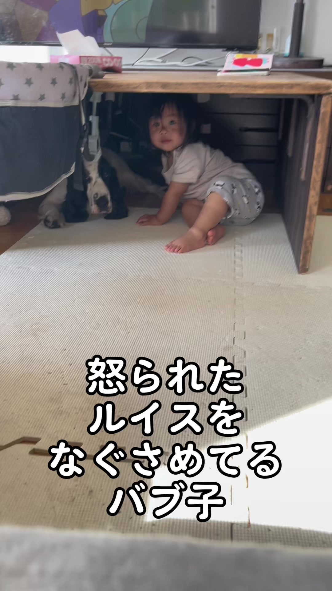 @進撃のバブ子🍉