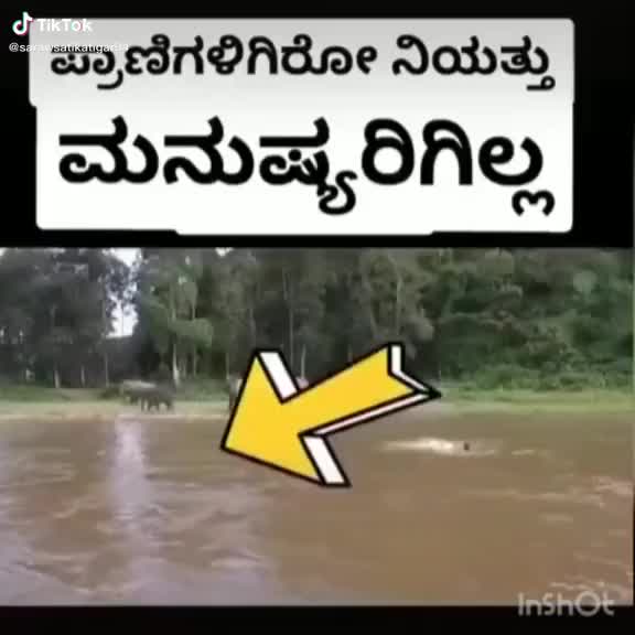 @janu...