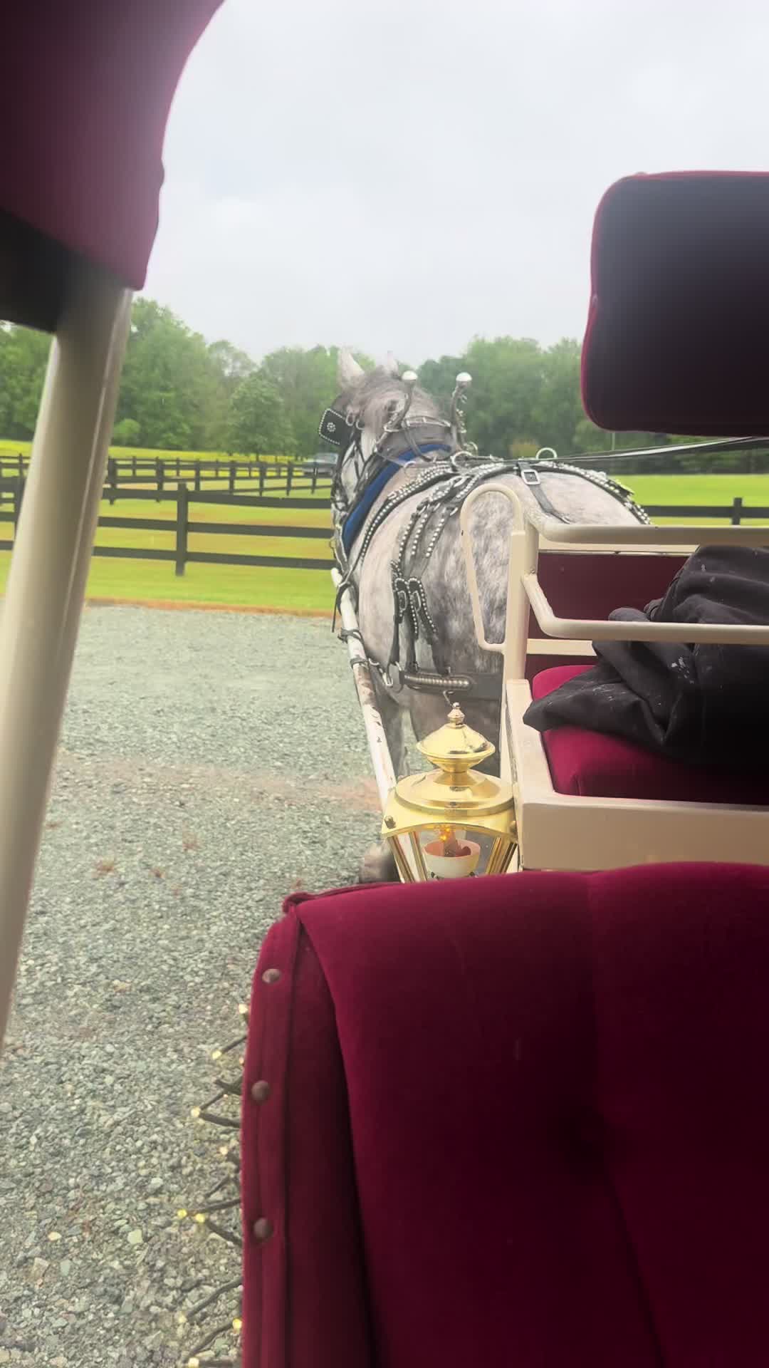 @southerncharmcarriages