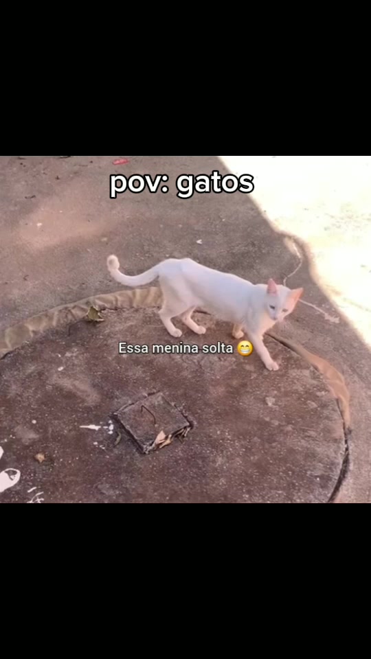 @R10👑