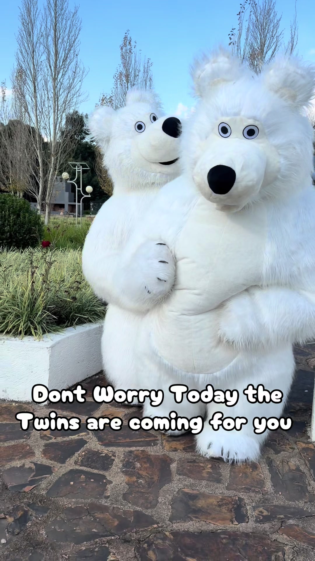 @dancingmascotssa