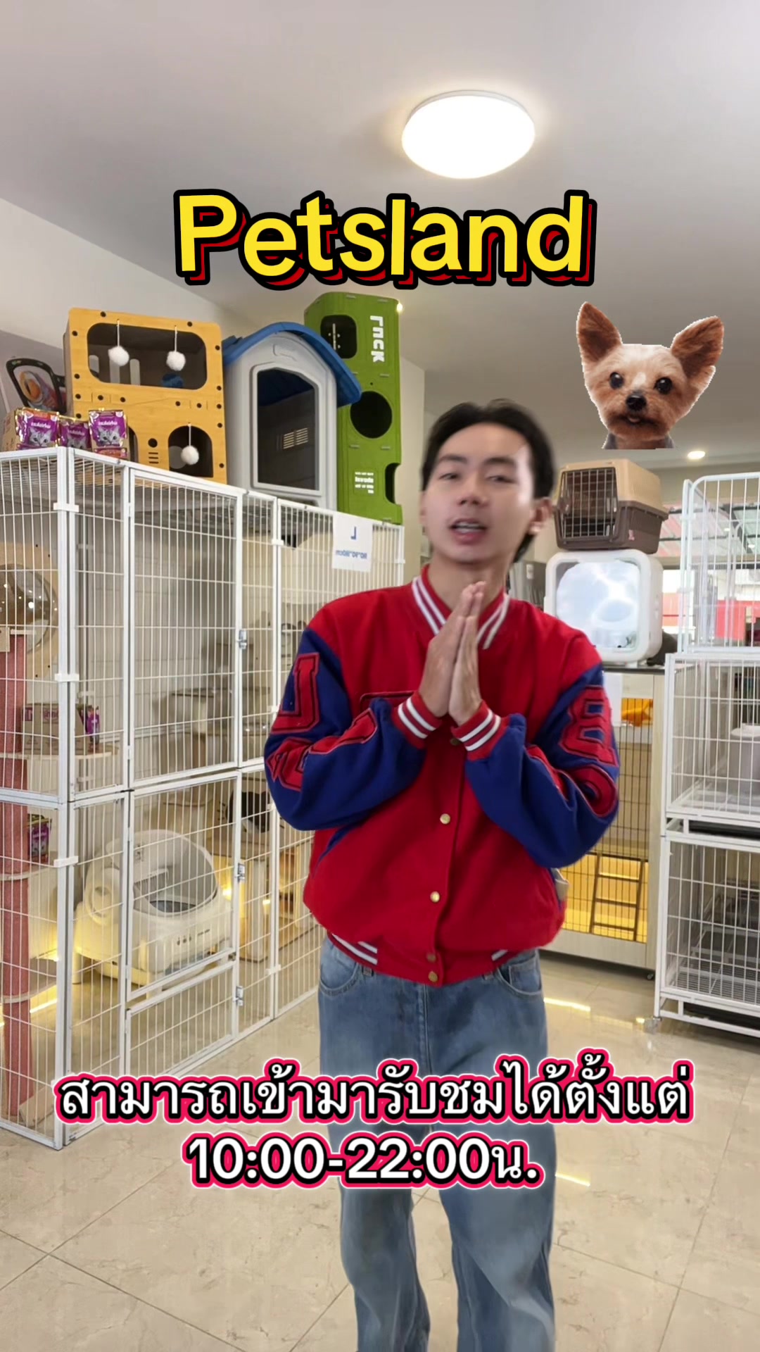 @petsland