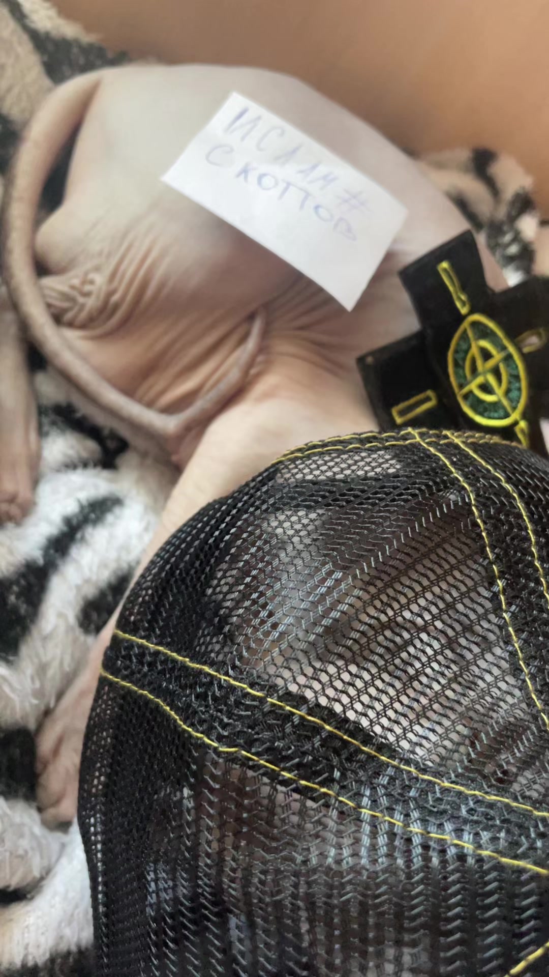 @Тгк:Ислам#скоттов 🦍