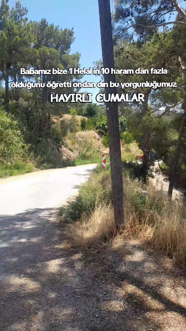 @Ramazan kok2