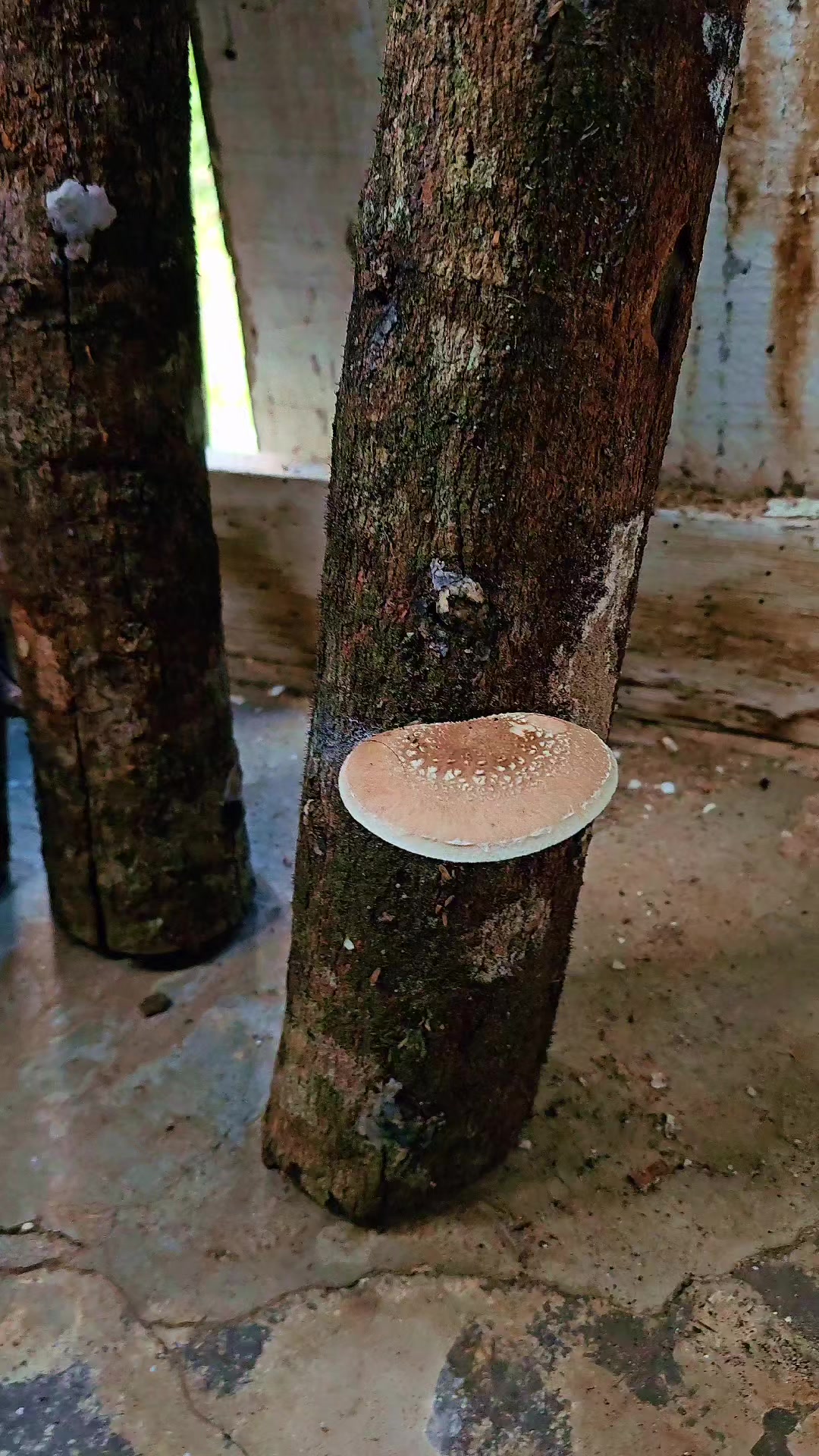 @Feito a M&atilde;o DIY Sustent&aacute;vel 🌱