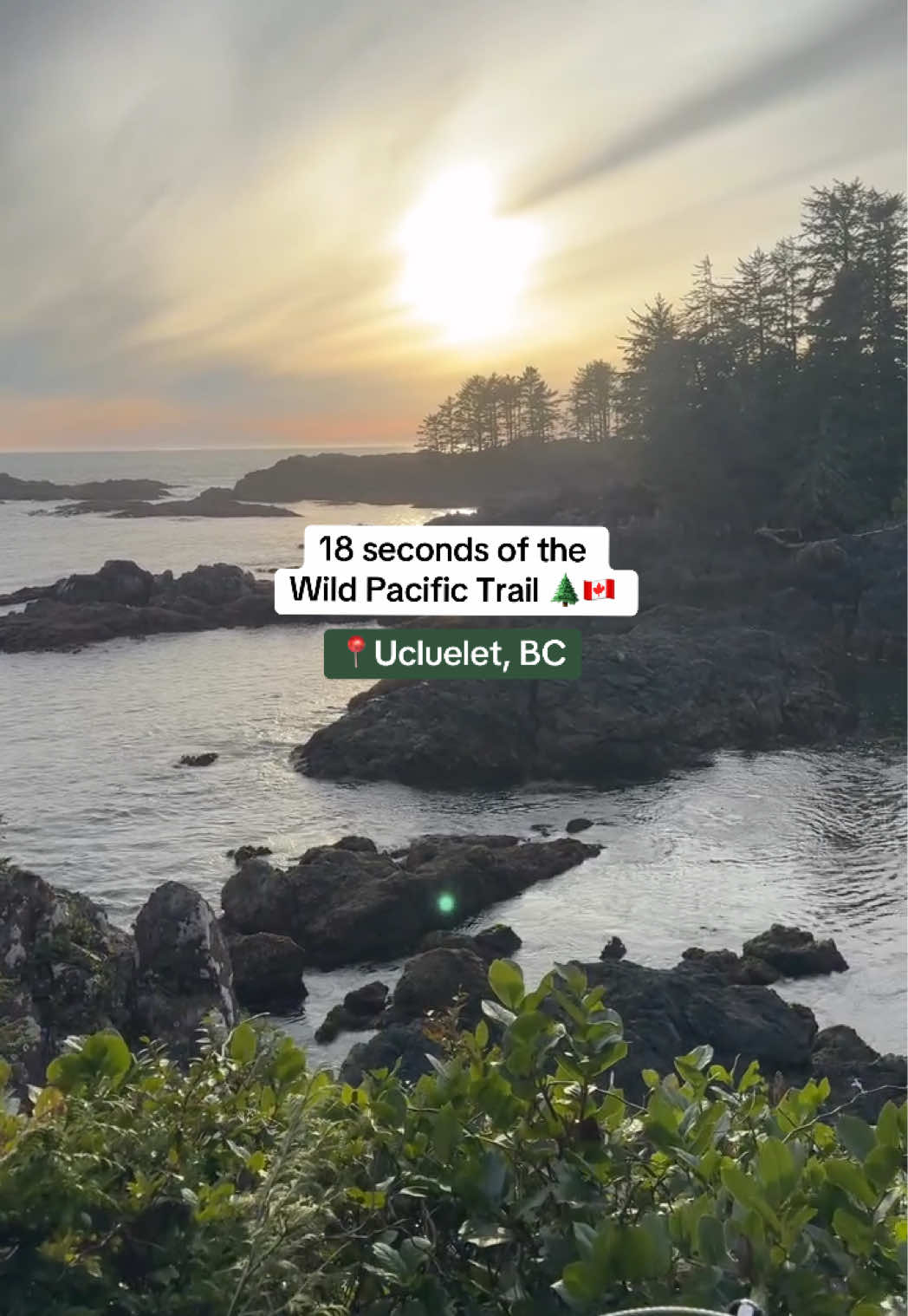 @Super, Natural BC