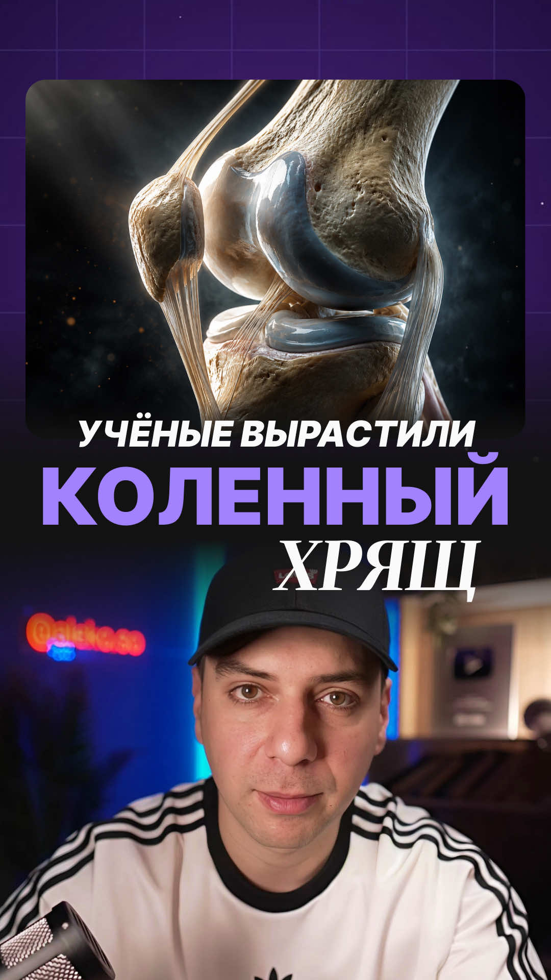@Alek&oacute; 🇺🇦🇬🇪