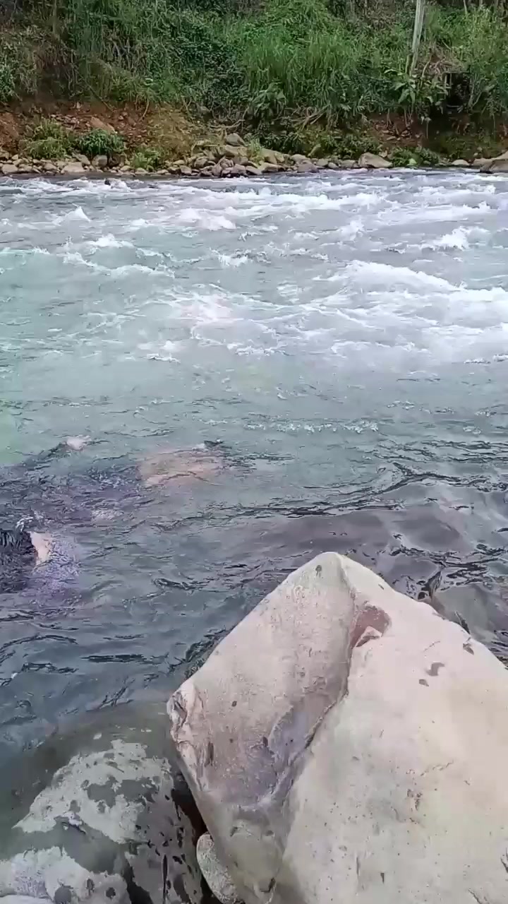 @Pedro Miguel