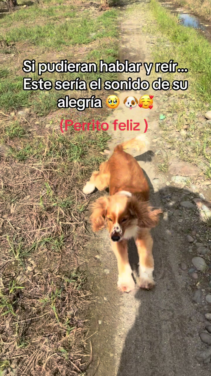 @Daniela Rodriguez