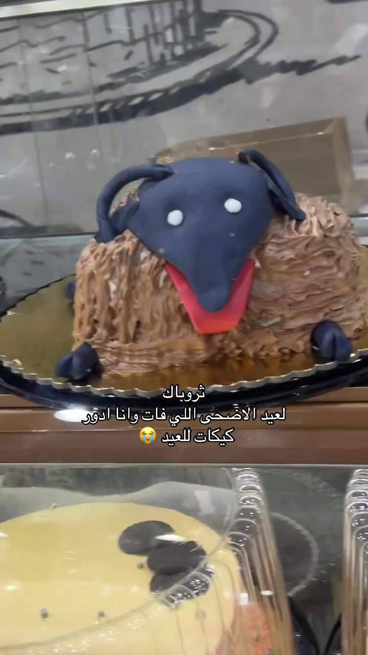 @SARA