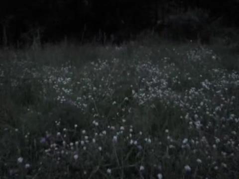 @𖥻 ׁ ׅ ᴄᴏᴏʟsᴏᴜɴᴅ ! ׁ ׅ 🖤