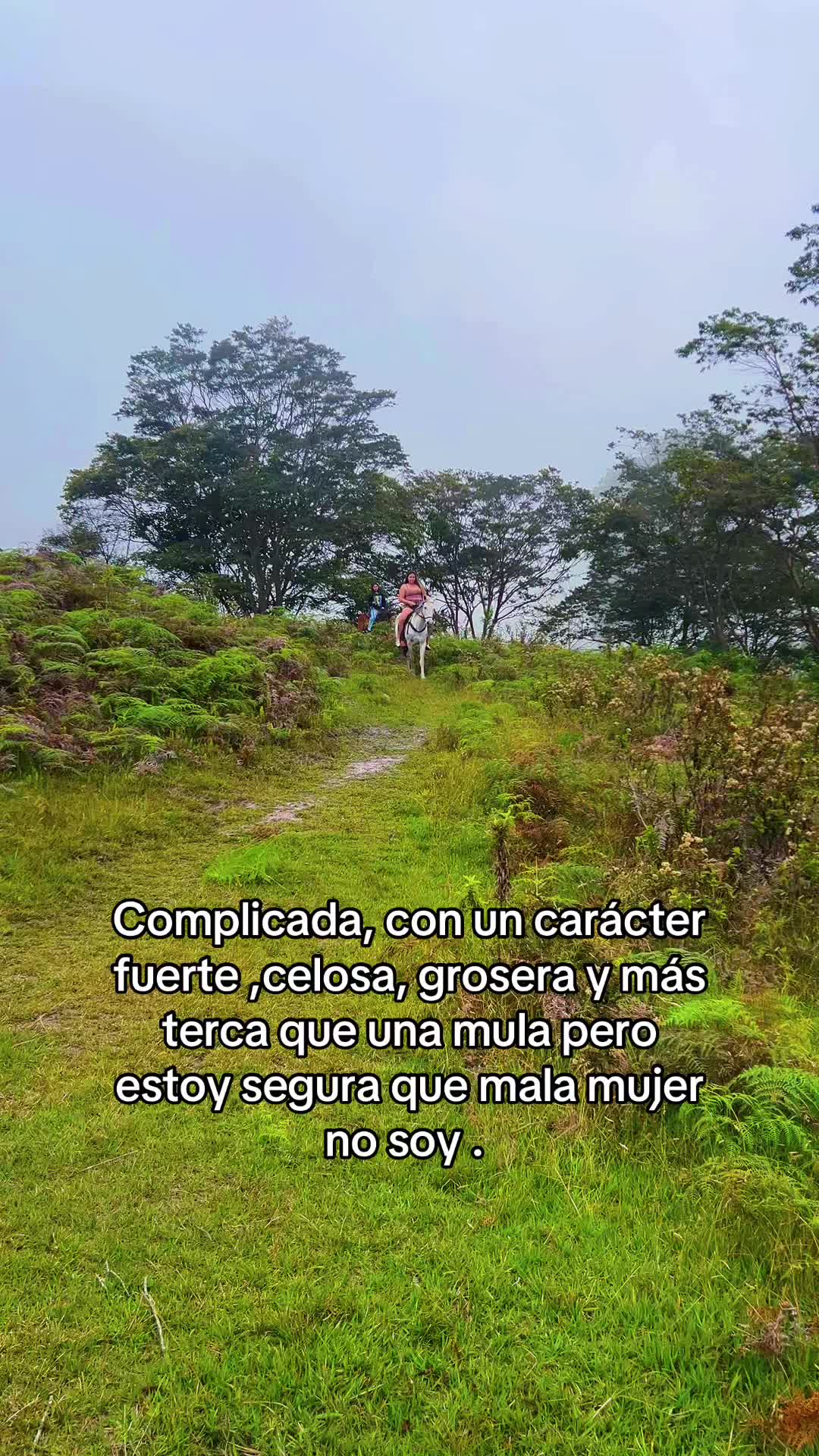 @Tarazona 🫀