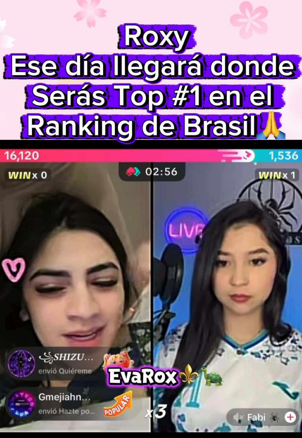 @evaroxusa⚜️🐢
