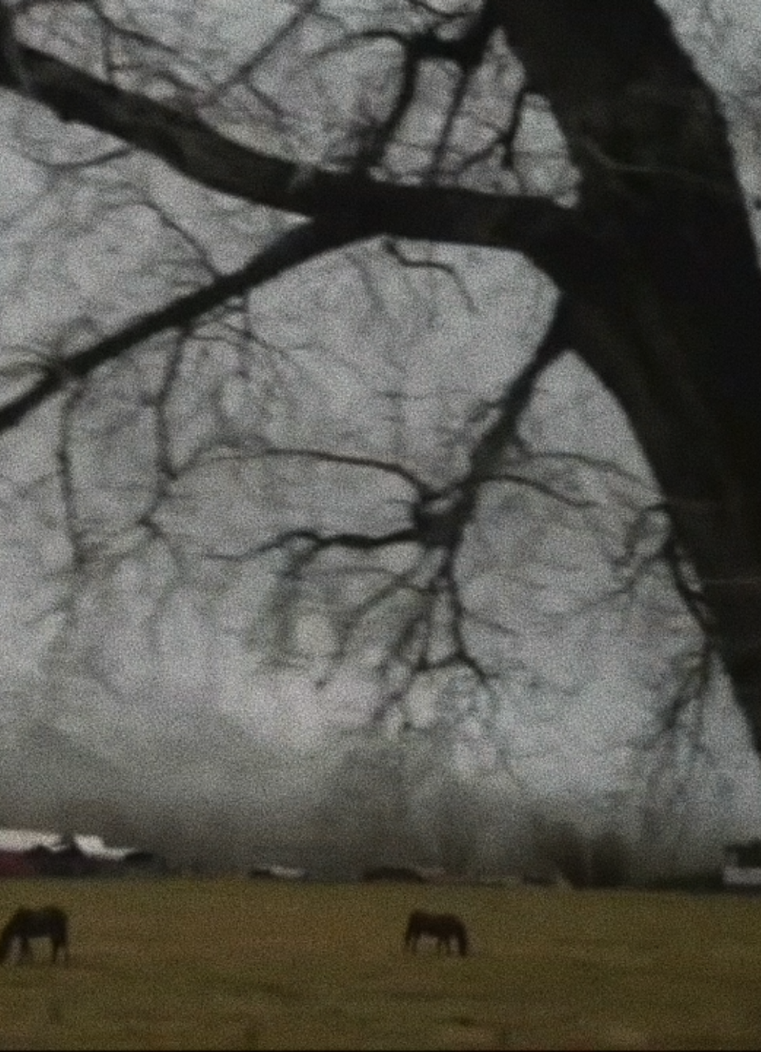 @ᴀᴍᴏʀᴀ