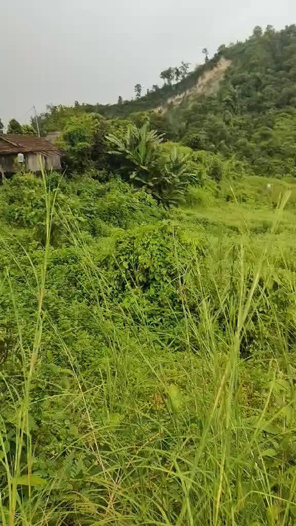@भक्त बहादुर खत्री