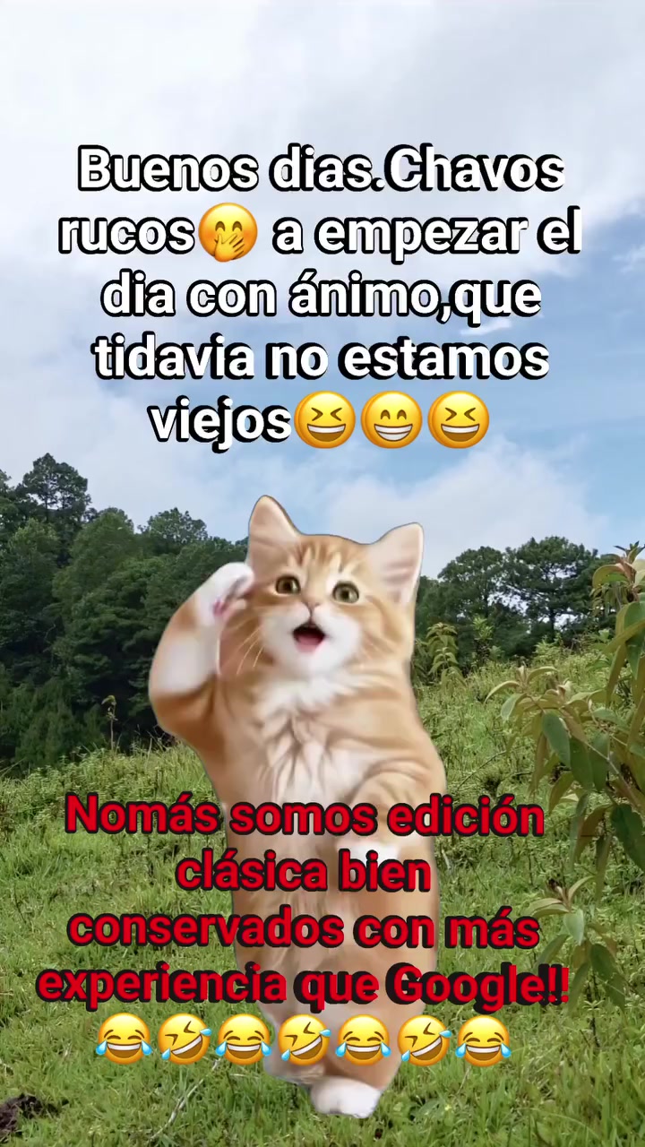 @noe