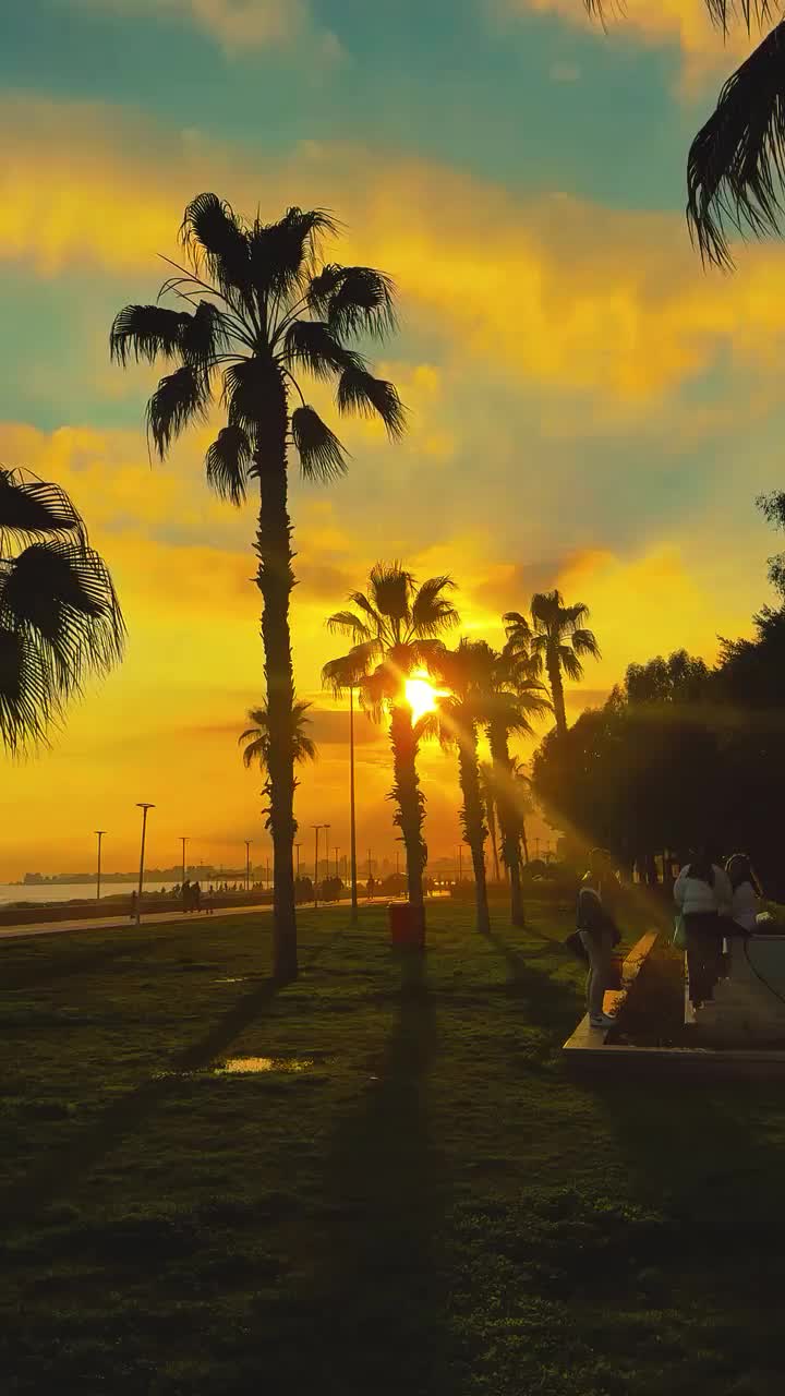 @𝙃𝙞𝙢𝙖𝙡𝙖𝙮𝙖🍃