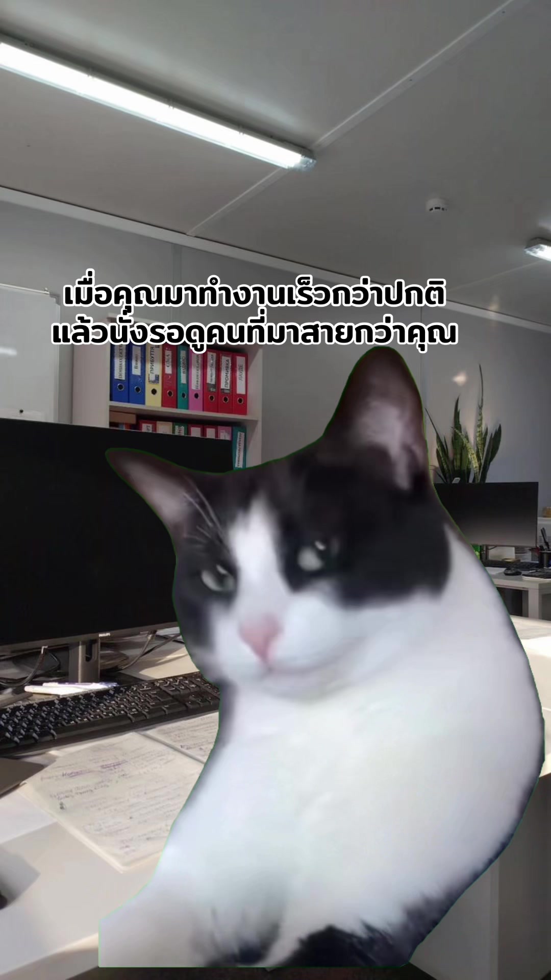 @ฮิปโปตด