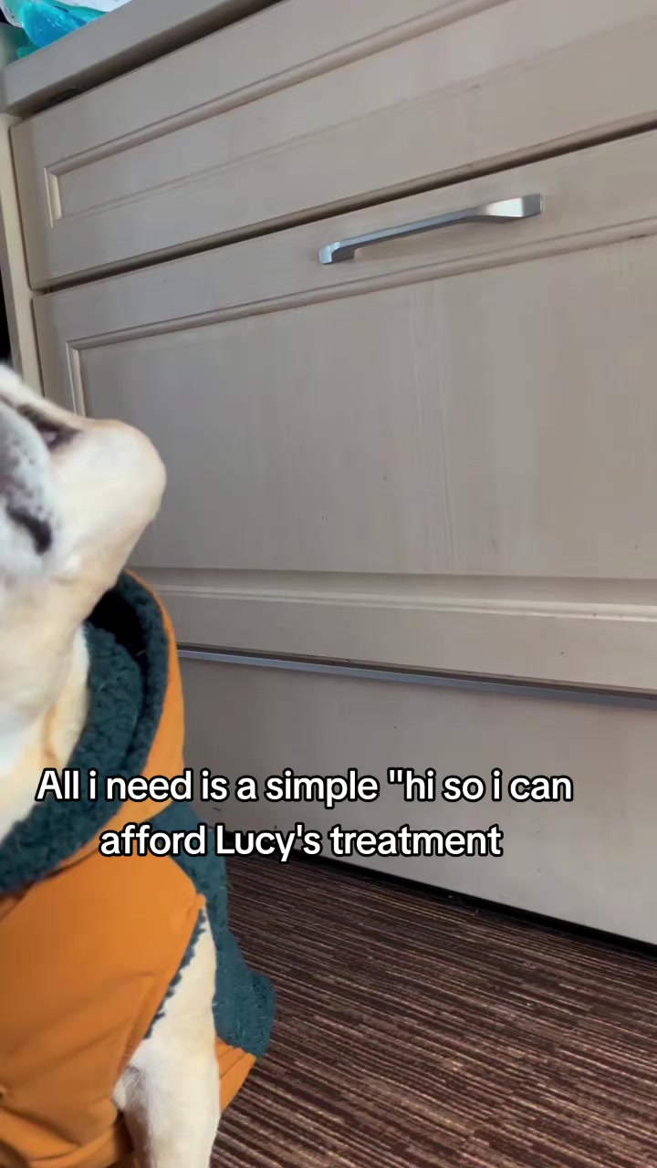 @CancerFighterPup