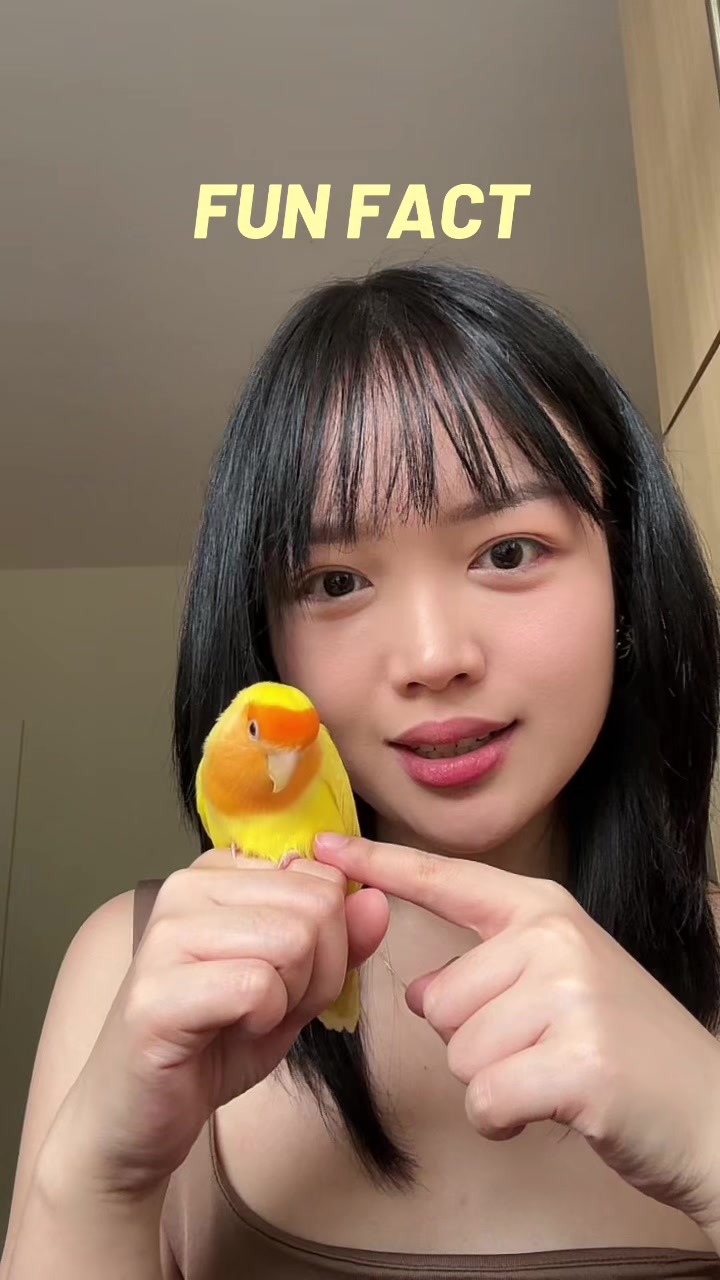 @itsyumi_